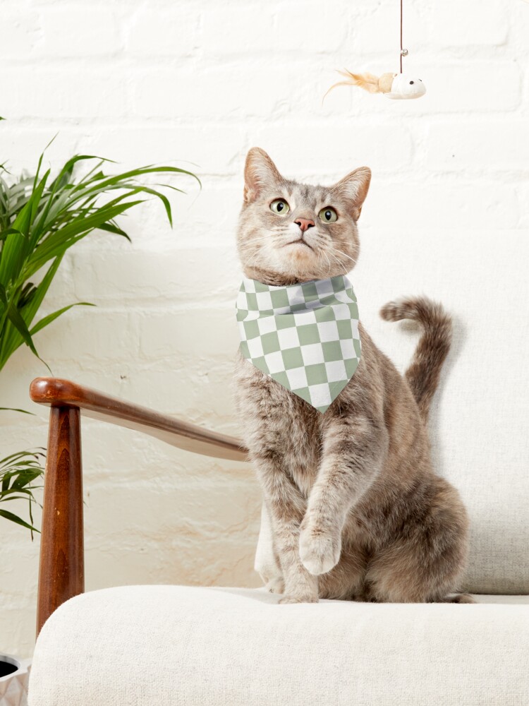Alternate view of Checkerboard Mini Check Pattern in Sage Green and Off White Pet Bandana