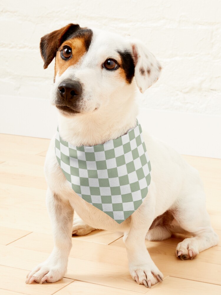 Thumbnail 1 of 6, Pet Bandana, Checkerboard Mini Check Pattern in Sage Green and Off White designed and sold by kierkegaard.