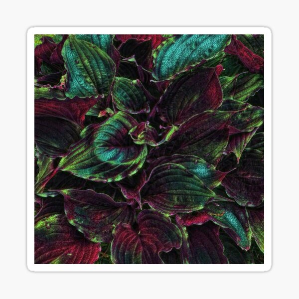 Item preview, Hosta in Nighshade Green-Red designed and sold by SunshineWalker.