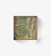 vintage foliage hipster botanical print fern leaves Acrylic Block