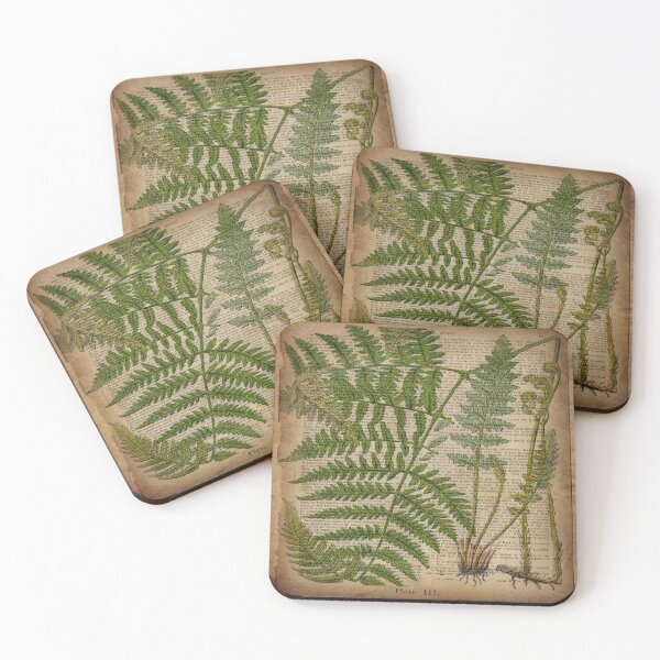vintage foliage hipster botanical print fern leaves Coasters (Set of 4)