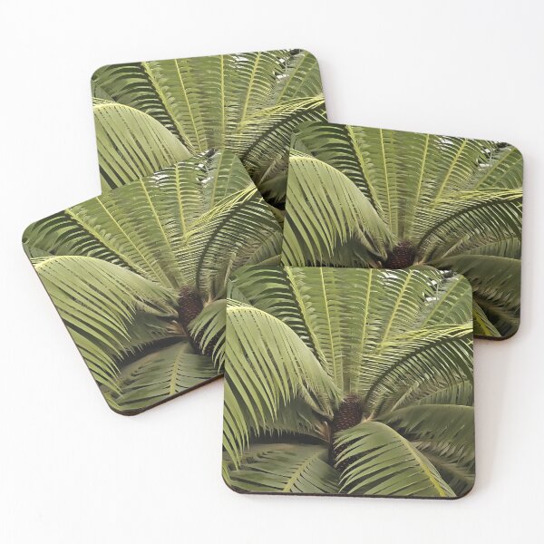Item preview, Tropical Palm Botanical Art Dioon Spinulosum  designed and sold by taiche.