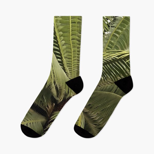 Item preview, Tropical Palm Botanical Art Dioon Spinulosum  designed and sold by taiche.