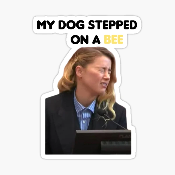 My Dog Stepped On a Bee Heat Transfer Thermal Stickers Amber Heard Funny  Meme Household Iron On Clorhing Stickers