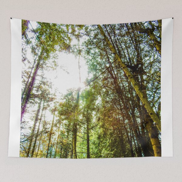Item preview, The Light Through the Forest  designed and sold by mhodgesphotos.