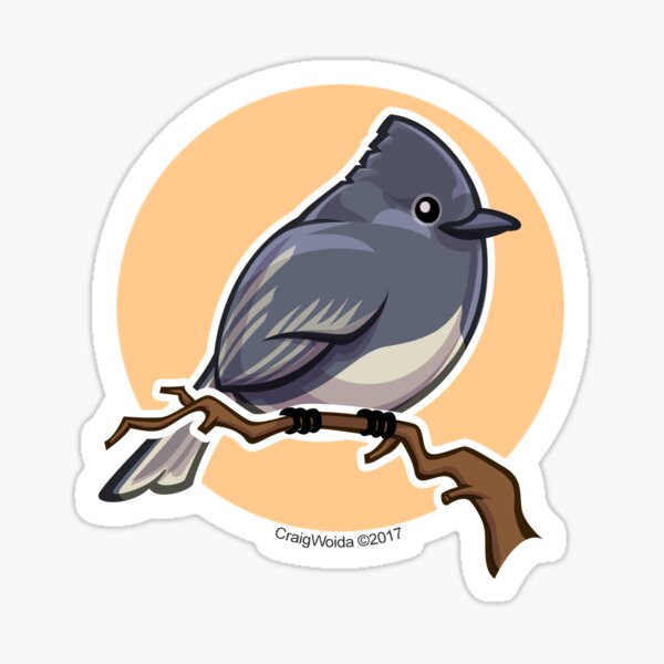 Item preview, Black Phoebe over orange background designed and sold by CraigWoida.