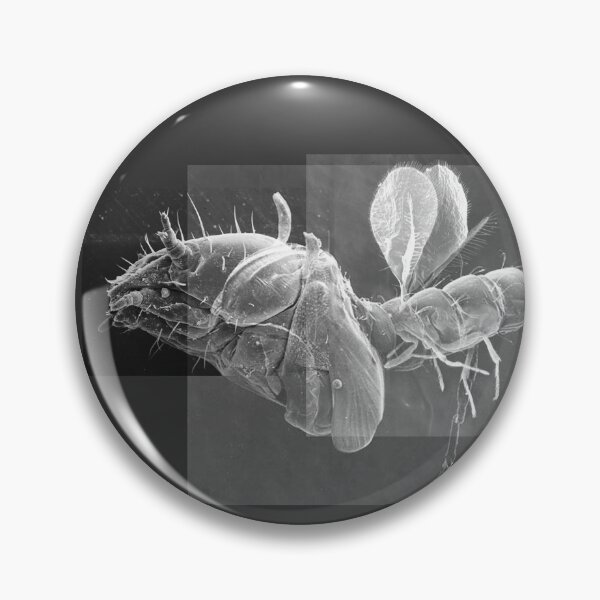 Item preview, Insectoid Chimera designed and sold by Kyvar.