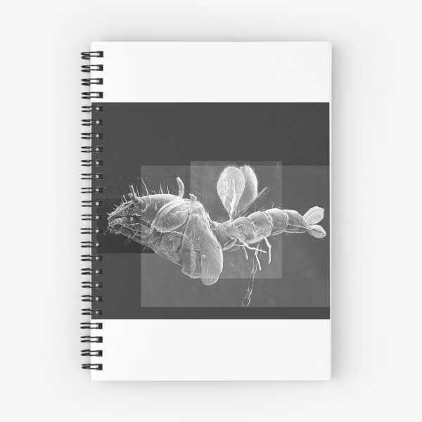 Item preview, Insectoid Chimera designed and sold by Kyvar.