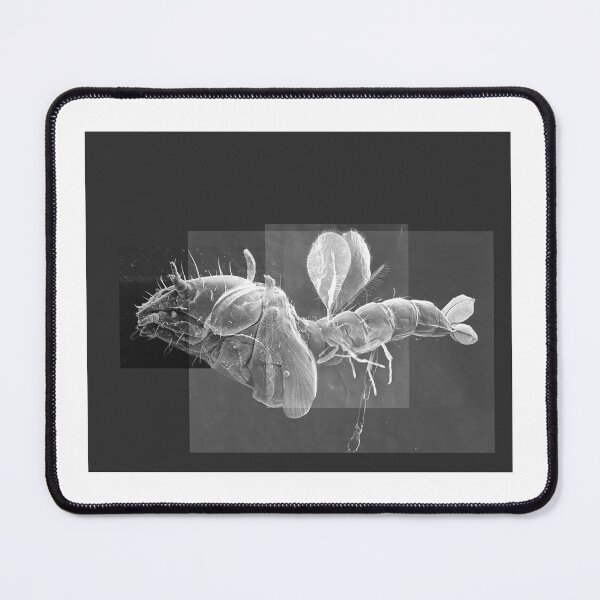 Item preview, Insectoid Chimera designed and sold by Kyvar.