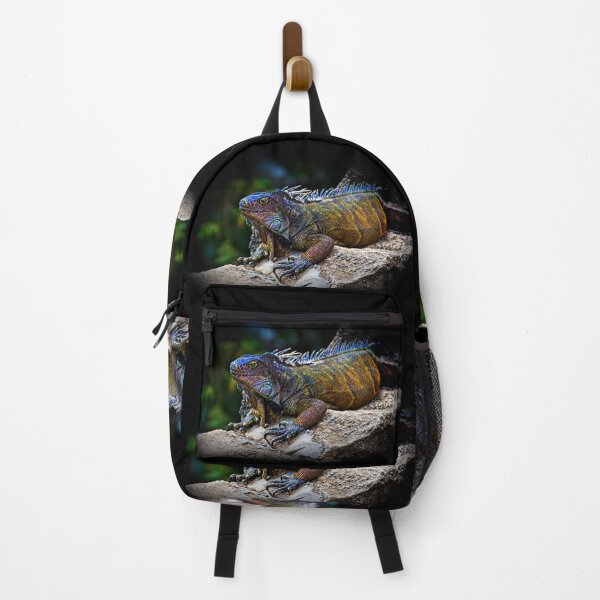 Item preview, A Lounging Montanita Iguana designed and sold by alabca.
