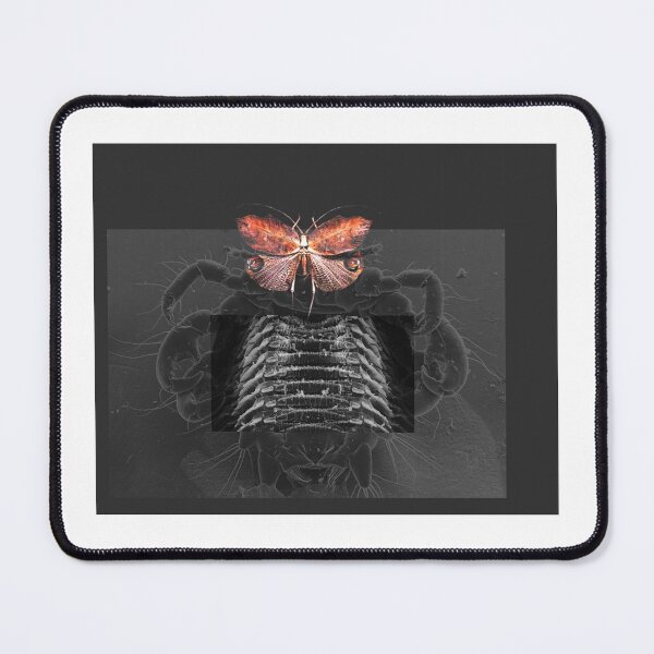 Item preview, Insectoid Chimera designed and sold by Kyvar.