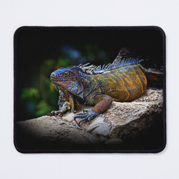 Item preview, A Lounging Montanita Iguana designed and sold by alabca.