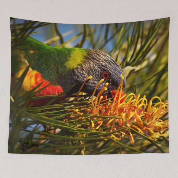 Item preview, Rainbow Lorikeet and Grevillea Honey Gem designed and sold by Ohlordi.
