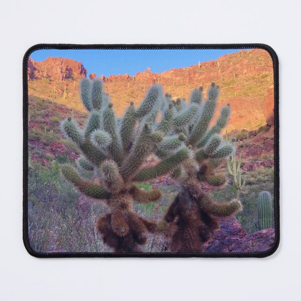 Item preview, Cactus designed and sold by Ryan Biddle.