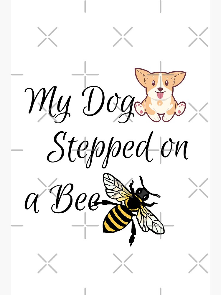 My dog stepped on a bee! Amber heard vJohnny Depp 