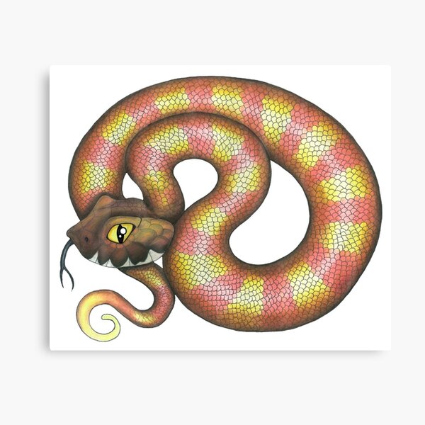 Death Adder Canvas Prints | Redbubble