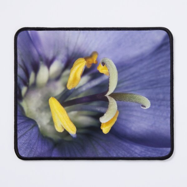 Item preview, Jacobs Ladder in Ocean Blue designed and sold by SharonJ.