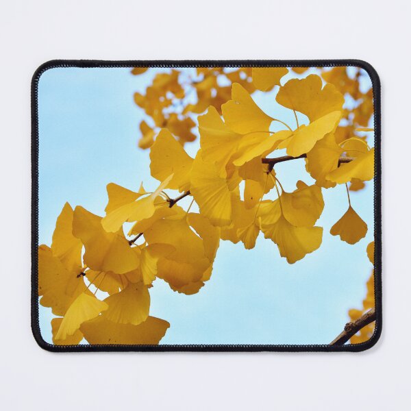 Item preview, Yellow Gingko Biloba Tree designed and sold by Fruitsome.