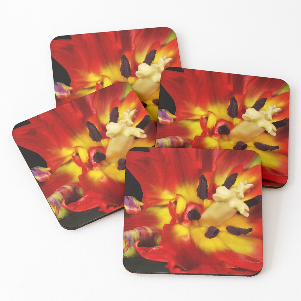 Item preview, Coasters (Set of 4) designed and sold by SharonJ.