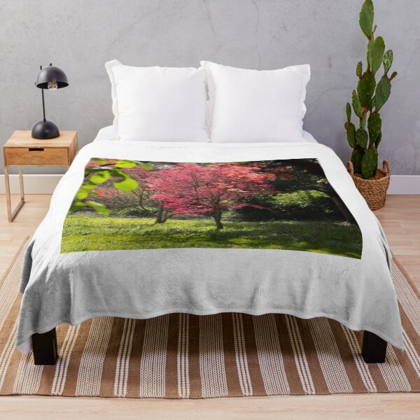 Item preview, Japanese Acer Tree designed and sold by ellenmpics.