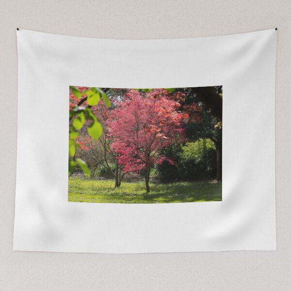 Item preview, Japanese Acer Tree designed and sold by ellenmpics.
