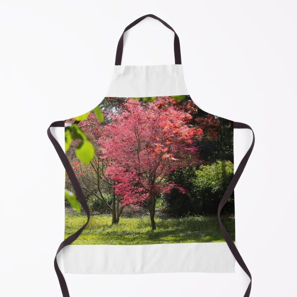 Item preview, Japanese Acer Tree designed and sold by ellenmpics.