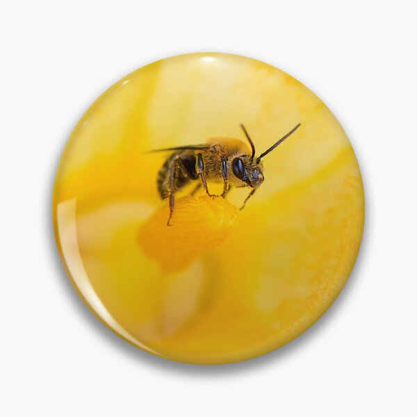 Item preview, bee in squash flower  designed and sold by sarahjeanphoto.
