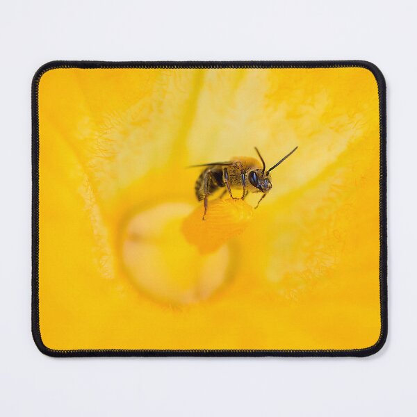 Item preview, bee in squash flower  designed and sold by sarahjeanphoto.