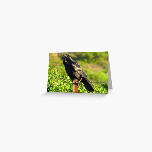 Bird on a Wire Greeting Card