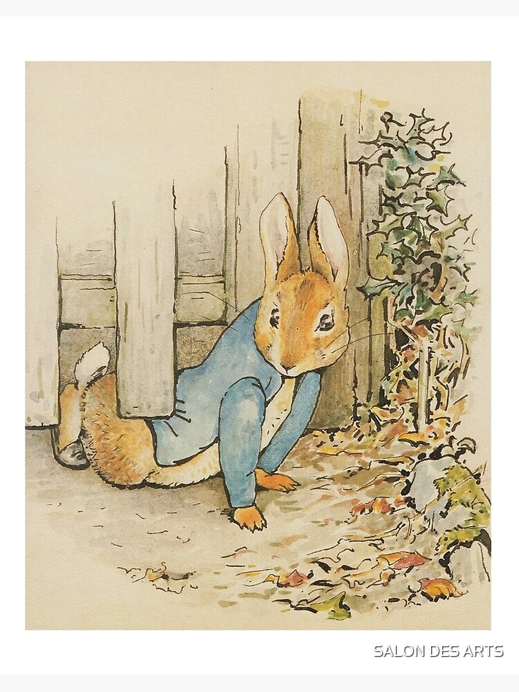 Peter Rabbit Is Heading To The Peter rabbit illustration, Rabbit  illustration, Beatrix potter illustrations, peter rabbit 