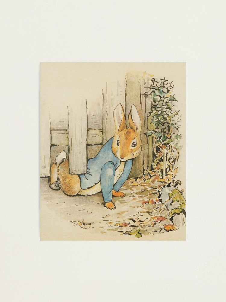 Peter Rabbit Baby Nursery Art. Beatrix Potter Downloadable Print. Beatrix  Potter Character Illustration. Peter Rabbit Watercolour.