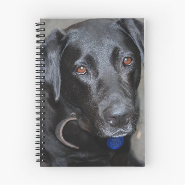Item preview, Gorgeous designed and sold by lizdomett.