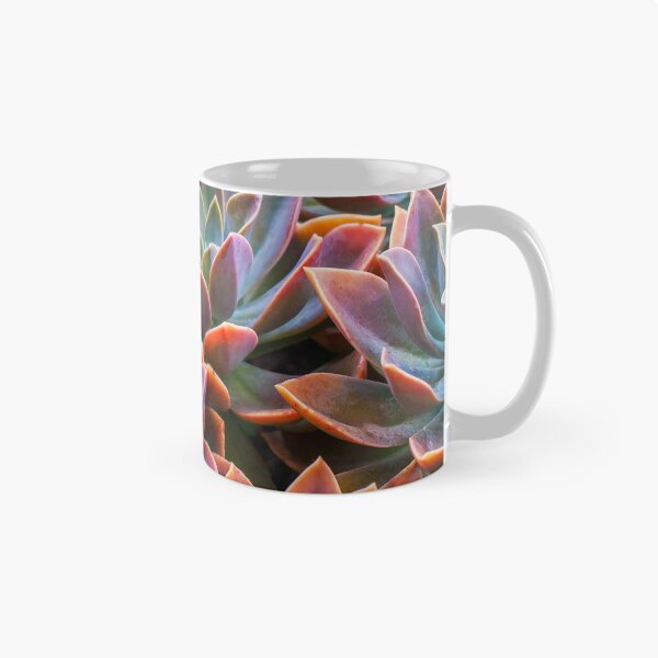 Item preview, Echeveria designed and sold by runlenarun.