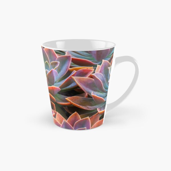 Item preview, Echeveria designed and sold by runlenarun.