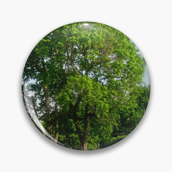 Item preview, Trees in the park designed and sold by Shulie1.