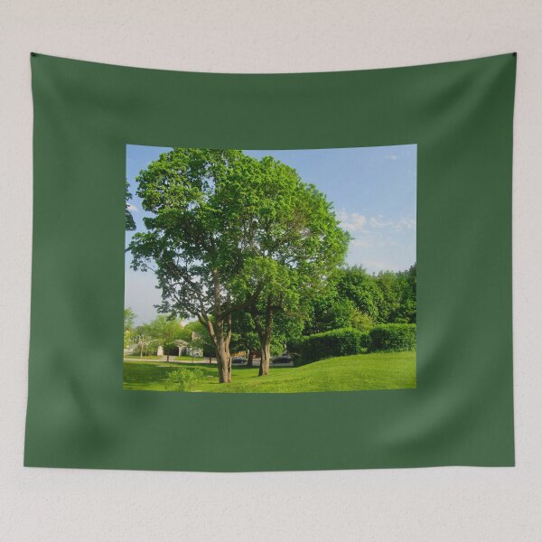 Item preview, Trees in the park designed and sold by Shulie1.