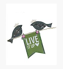 Live It Up - Blackbirds Photographic Print