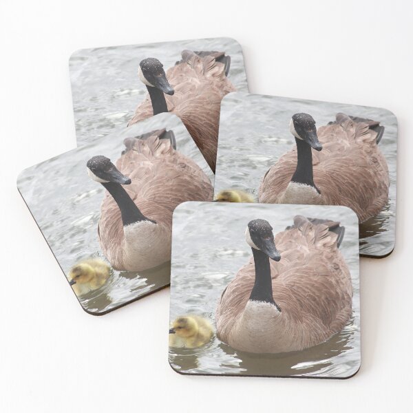 Item preview, Branta canadensis family designed and sold by zumi.