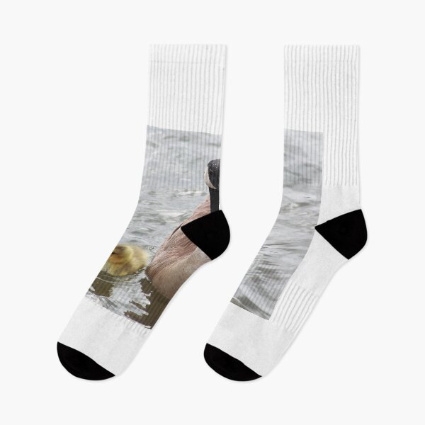 Item preview, Branta canadensis family designed and sold by zumi.