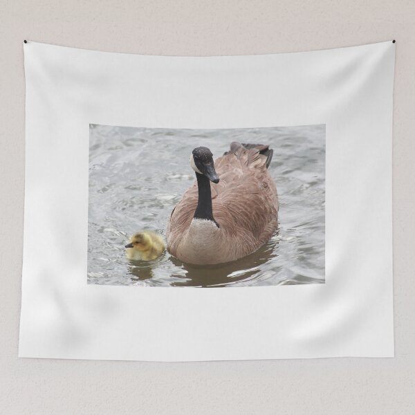 Item preview, Branta canadensis family designed and sold by zumi.