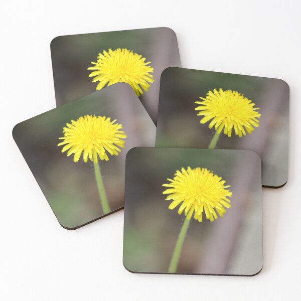 Item preview, Dandelion designed and sold by Design Minds Boutique.