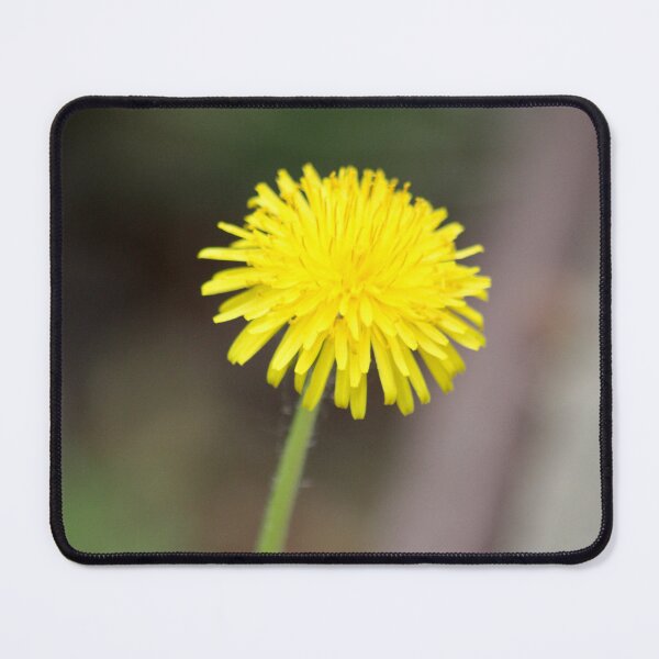 Item preview, Dandelion designed and sold by Design Minds Boutique.