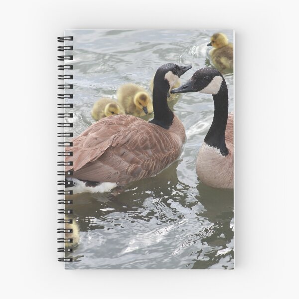 Item preview, Branta canadensis V designed and sold by zumi.