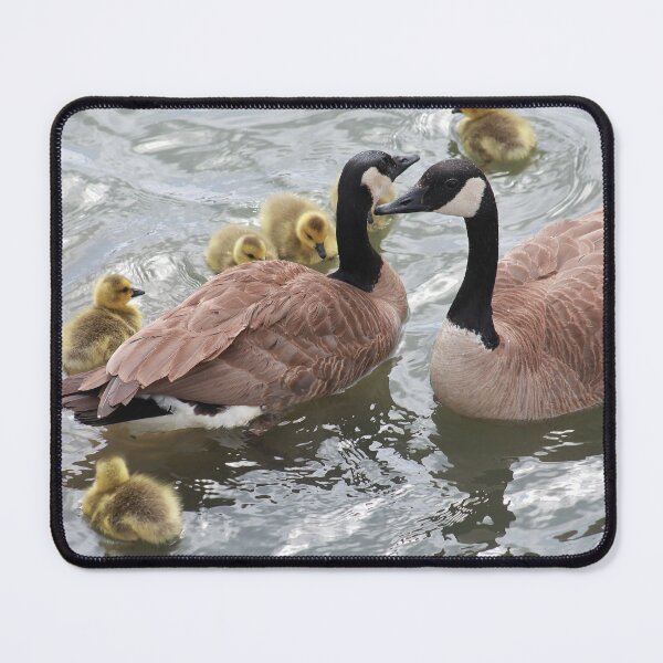 Item preview, Branta canadensis V designed and sold by zumi.