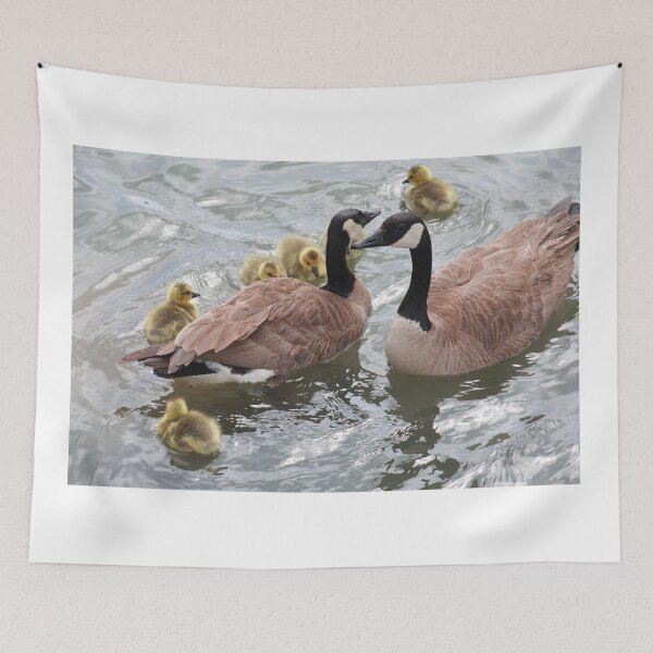 Item preview, Branta canadensis V designed and sold by zumi.
