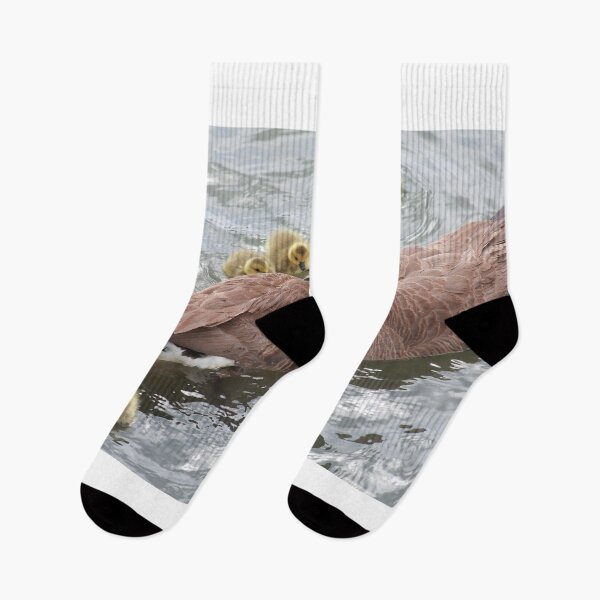 Item preview, Branta canadensis V designed and sold by zumi.