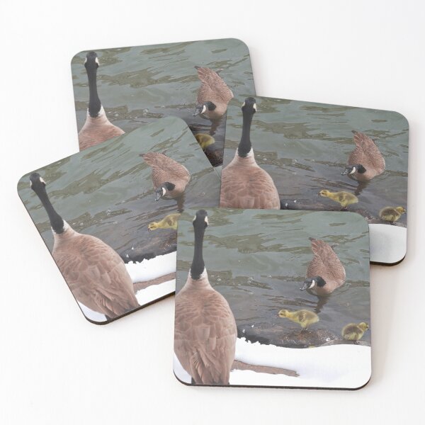 Item preview, Branta canadensis VI designed and sold by zumi.