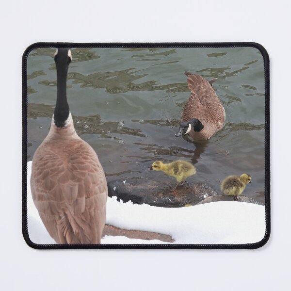 Item preview, Branta canadensis VI designed and sold by zumi.