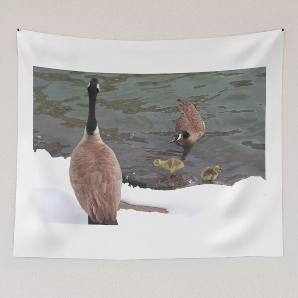 Item preview, Branta canadensis VI designed and sold by zumi.