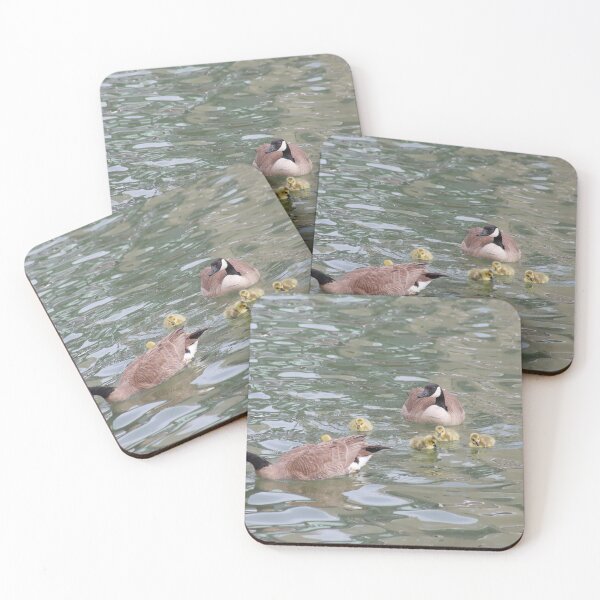 Item preview, Branta canadensis VII designed and sold by zumi.